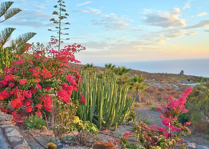 Finca La Tosca Guia de Isora (Tenerife)