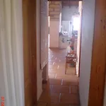 La Tosca Guía de Isora