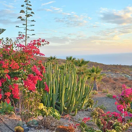 La Tosca Guía de Isora